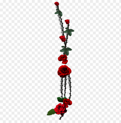 rose thorns Free PNG images with transparent layers diverse compilation