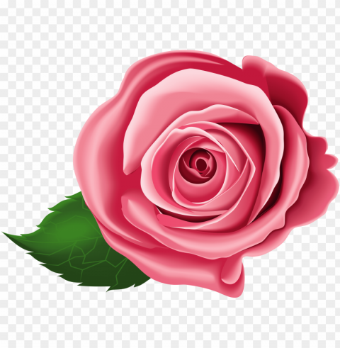 rose clip art - free roses clipart PNG with transparent backdrop PNG transparent with Clear Background ID e02343bb