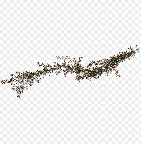 rose vines - rose and vine High-definition transparent PNG