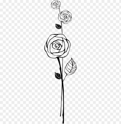 Roses Outline Flower Decal - Beach Rose PNG Transparent Elements Package