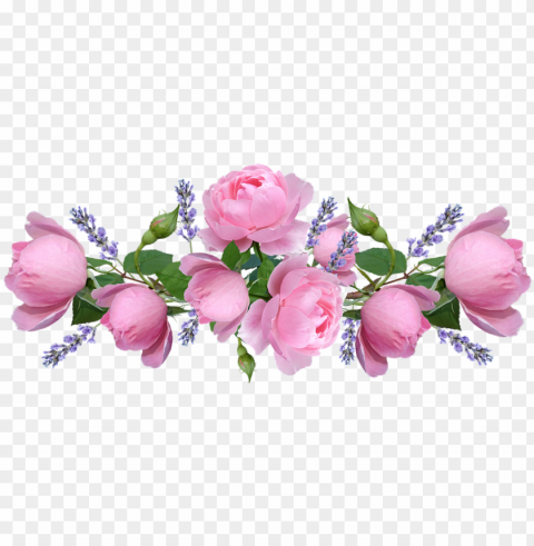 roses pink flowers lavender arrangement - garden roses Clean Background Isolated PNG Graphic