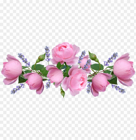 Roses Pink Flowers Lavender Arrangement - Garden Roses Clean Background Isolated PNG Graphic