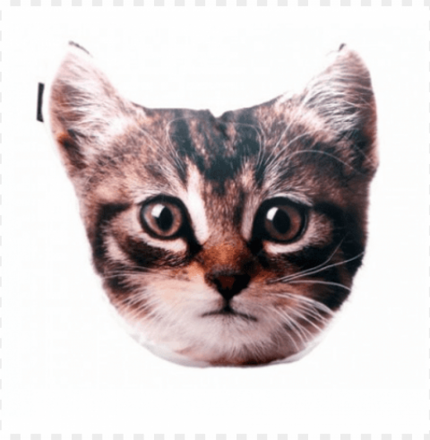 rosto de gato PNG images with no fees PNG transparent with Clear Background ID be94bce2