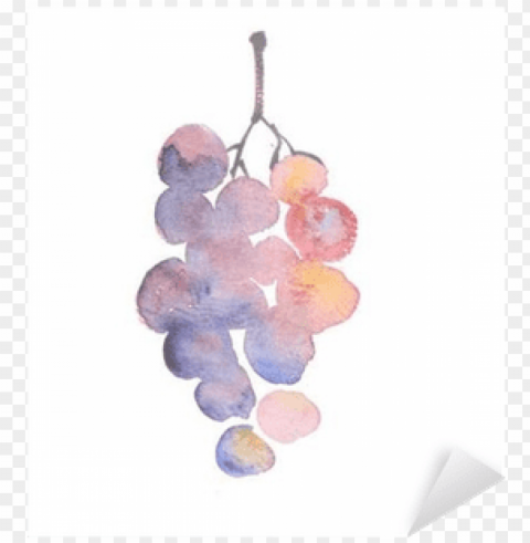 rosy grape watercolor sketch - grape HD transparent PNG