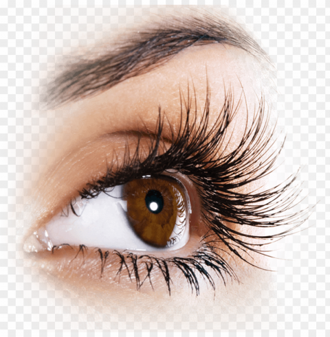 row eyelashes up to - strong eyelashes PNG transparent photos extensive collection