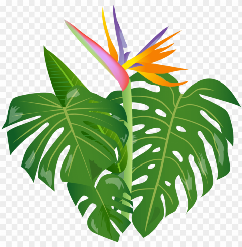 royalty free download shrub free on dumielauxepices - jungle leaves cartoon PNG with Isolated Object and Transparency