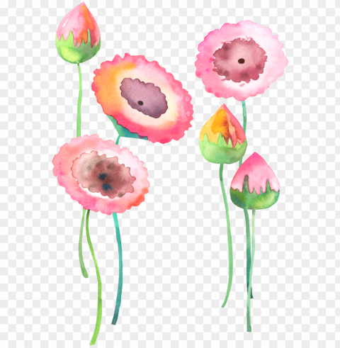 royalty free library watercolour flowers watercolor - watercolor flower watercolour Isolated Character in Clear Transparent PNG PNG transparent with Clear Background ID b12e33a8