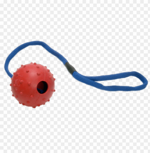 rubber ball on rope for dogs PNG transparent backgrounds