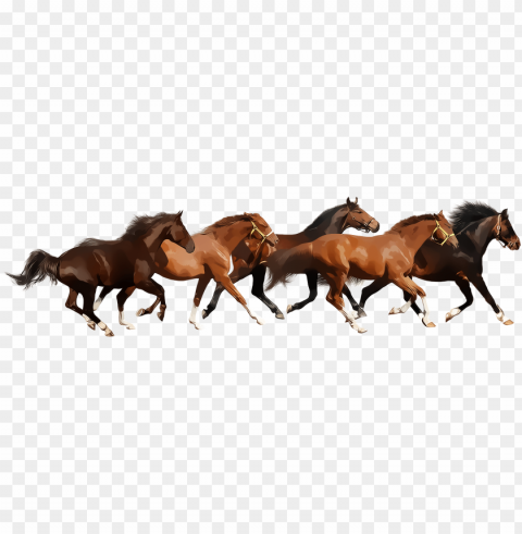 running horse - caballos PNG graphics with alpha transparency bundle PNG transparent with Clear Background ID 7844ce16