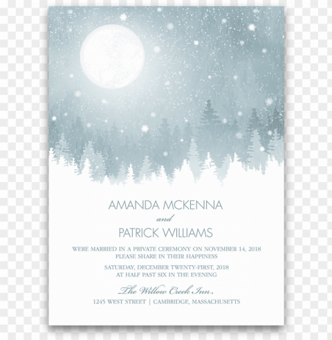 rustic snowflake winter wedding reception only invite - save the date Isolated Object with Transparent Background in PNG
