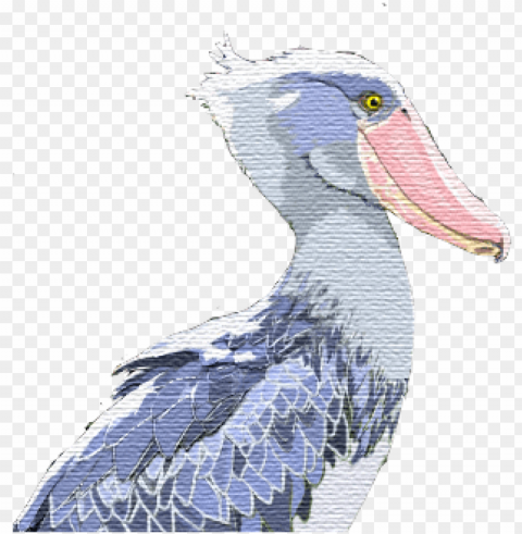 s number 1 is for shoebill stork - shoebill stork Transparent PNG Isolated Illustrative Element