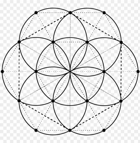 sacred geometry vector illustrations vol - seed of life matrix PNG with Isolated Object and Transparency