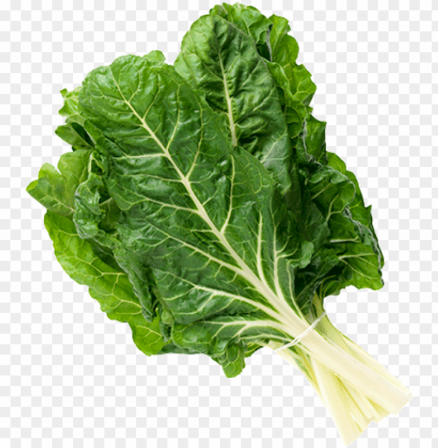 safe leafy greens chard - green leafy vegetable PNG for online use