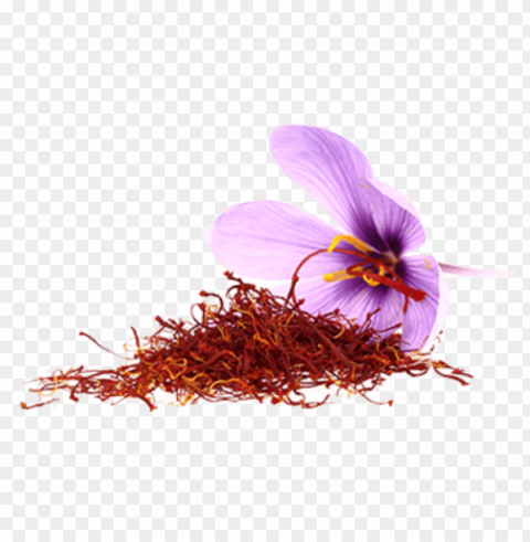saffron flower - vaadi herbals shower gel luxurious saffron 300 ml PNG with no background for free