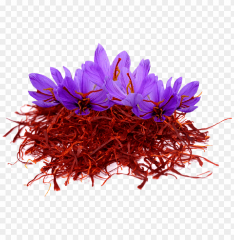 Saffron Download Saffron زعفران صور Saffron Isolated Graphic on HighResolution Transparent PNG PNG transparent with Clear Background ID 22d8558c