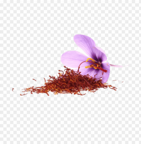 Saffron Download Saffron زعفران صور Saffron Isolated Graphic On Transparent PNG