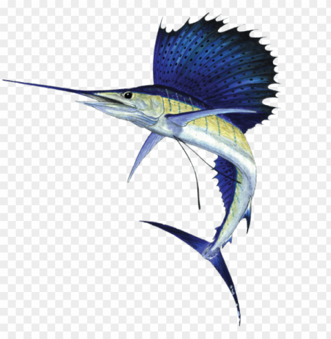 sailfish 2 l - sailfish PNG pics with alpha channel PNG transparent with Clear Background ID 4afa202c