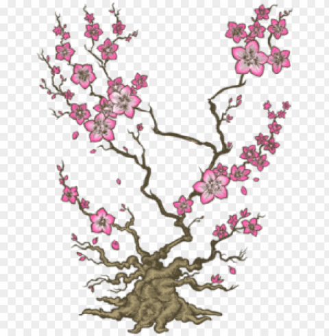 sakura - artificial flower Transparent PNG graphics complete archive