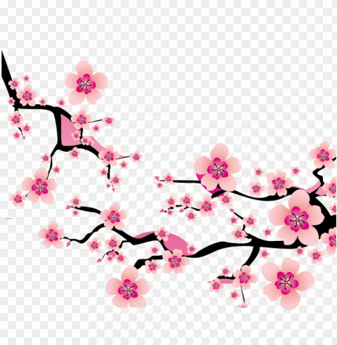 sakura blossom clipart plum flower - cherry blossom branch clipart PNG Graphic with Transparent Background Isolation