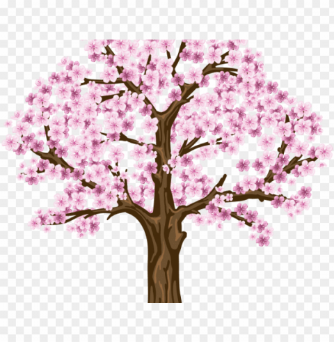 sakura clipart dogwood tree - cherry blossom tree hd Transparent PNG Isolated Illustration