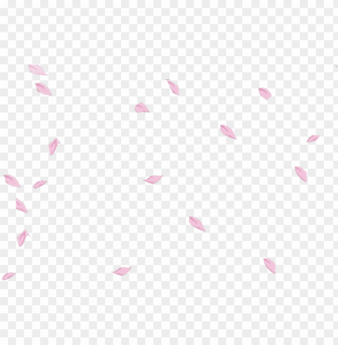 sakura petals flower floral falling floating pink - sakura petals Transparent PNG images wide assortment