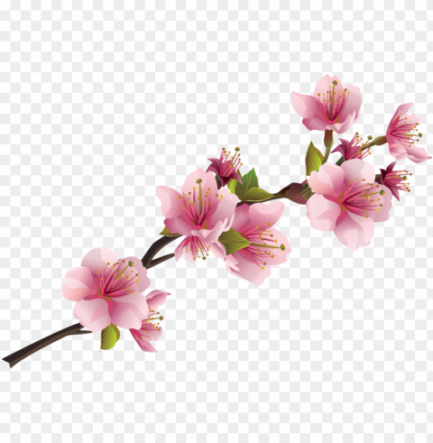 sakura pink flowers free images - orange venue japon kiraz Çiçeği kırlent kılıfı - 45x45 Isolated PNG Element with Clear Transparency