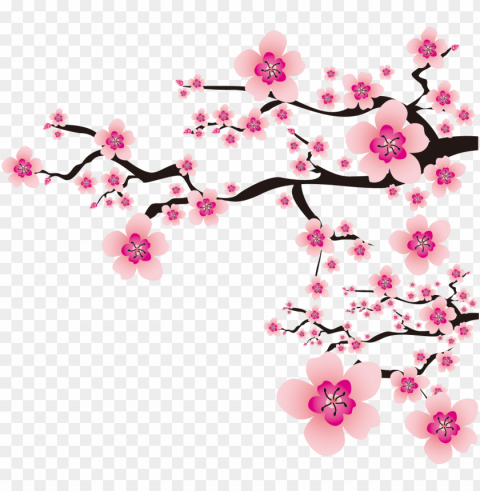 sakura - cherry blossom vector Free PNG images with transparent background