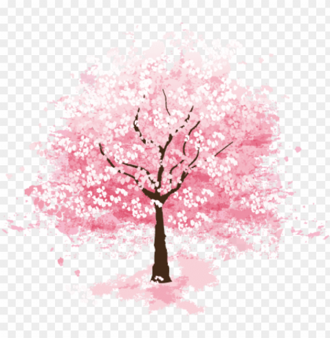 sakura tree flower picturesque surroundings - cherry blossom tree PNG with no bg