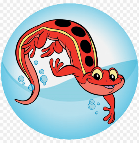 salamander - red cross salamander PNG images for editing