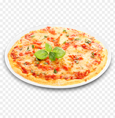 sauce tomate - pizza PNG Image Isolated with Transparent Clarity