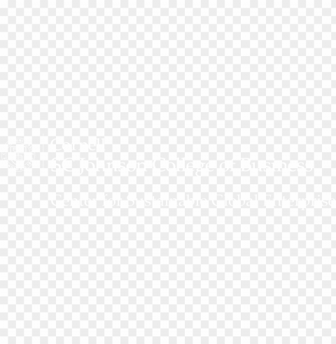 sc johnson sge white - hyatt regency logo white Transparent Background Isolated PNG Character