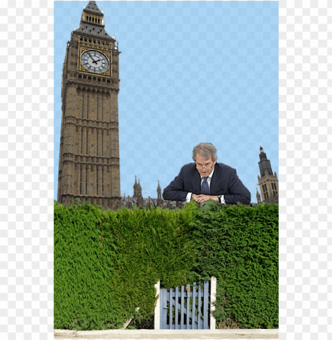 scaled westminster paterson hedge - big be HighQuality Transparent PNG Isolated Graphic Design