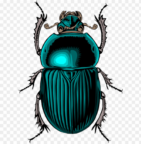 scarab beetle tattoo - egyptian bu PNG with clear background extensive compilation
