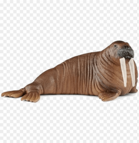 schleich walrus Transparent PNG Isolated Graphic Design