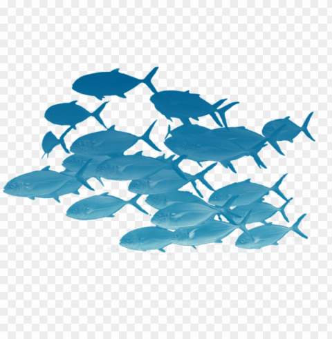 school of fishes - school of fish transparent PNG with Isolated Object