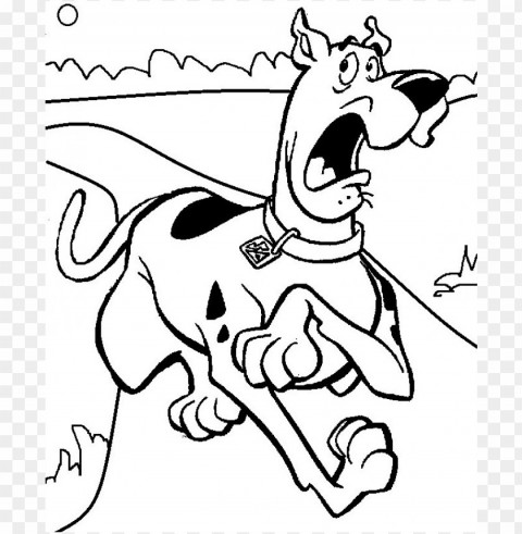 scooby doo coloring pages color HD transparent PNG