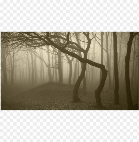 score 50% - purple foggy forest Isolated Artwork on Transparent Background PNG