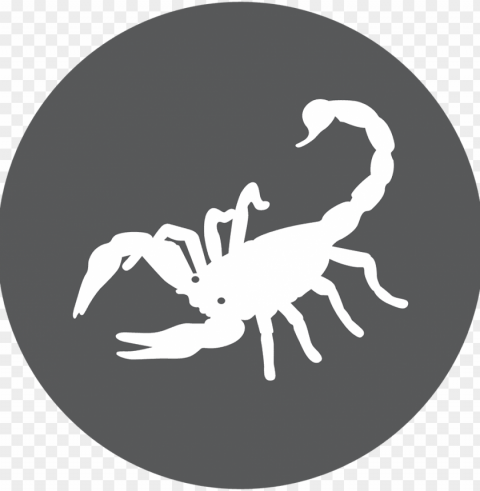 scorpio PNG transparent elements package