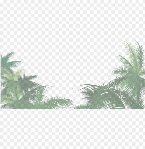 scroll down ménagerie by night - palm tree leaves PNG Isolated Subject with Transparency