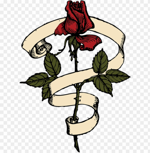 scroll tribal outline drawing design tree flower - rose scroll Isolated Illustration on Transparent PNG