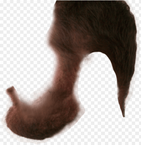 Sd 的胡子 Free Ve - Beard Side View PNG Files With No Backdrop Pack