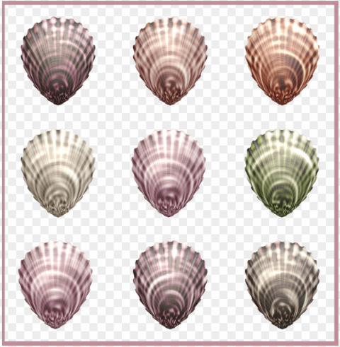 Sea Shells - Shell PNG Transparent Photos For Design