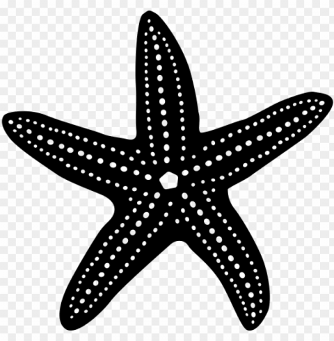 sea star icon Clean Background Isolated PNG Image PNG transparent with Clear Background ID 7e220d9b