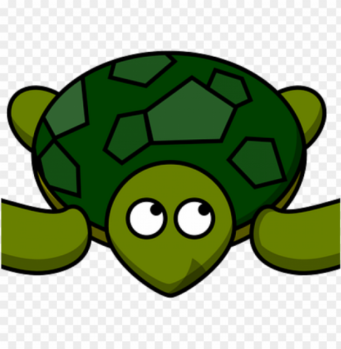 sea turtle clipart Clear PNG pictures bundle PNG transparent with Clear Background ID 68d79f97