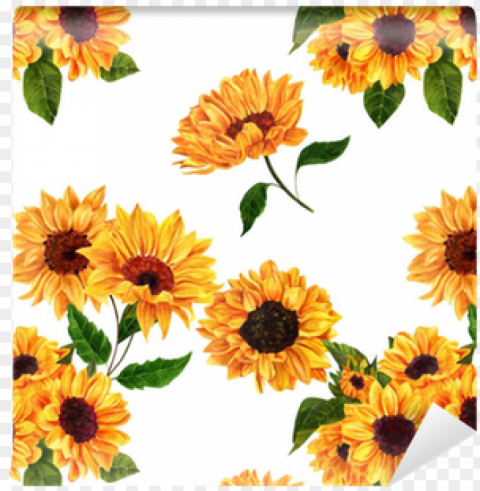 seamless pattern with hand drawn watercolor sunflowers - sunflowers draw Transparent PNG images for digital art PNG transparent with Clear Background ID e4907217