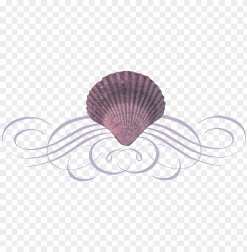 Seashell Flourish - Seashell Divider Free Download PNG Images With Alpha Transparency