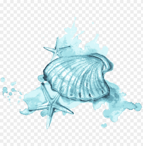 seashell watercolor painting illustration - watercolor painti PNG images for personal projects