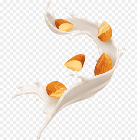 selected for quality - almond milk splash Isolated Element with Clear PNG Background