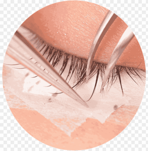 semi permanent eye lash PNG with Isolated Transparency