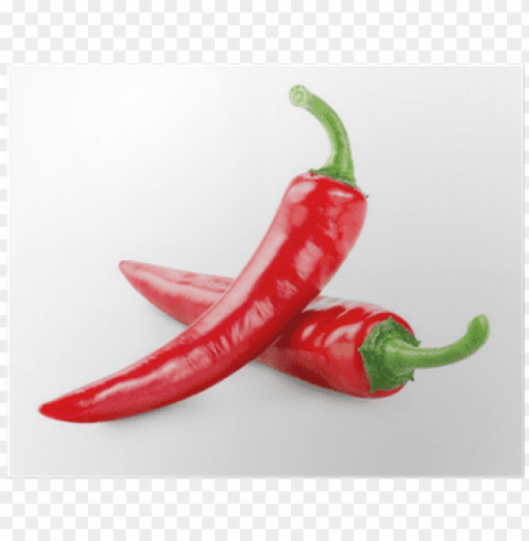 serenade chilli PNG for Photoshop